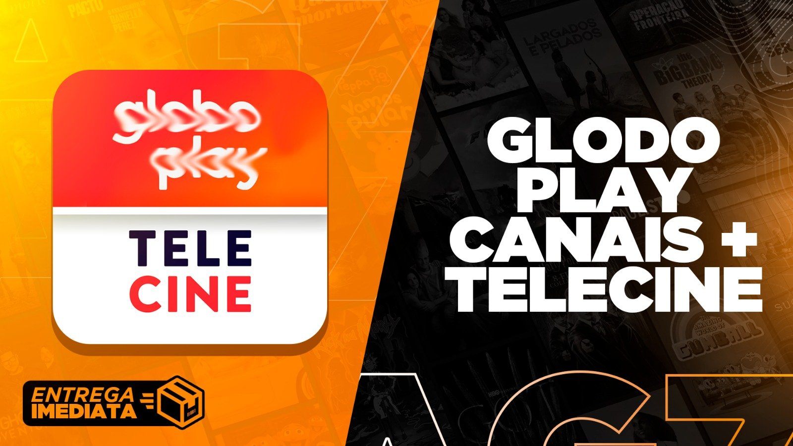 tela globoplay premium + telecine compartilhada privada